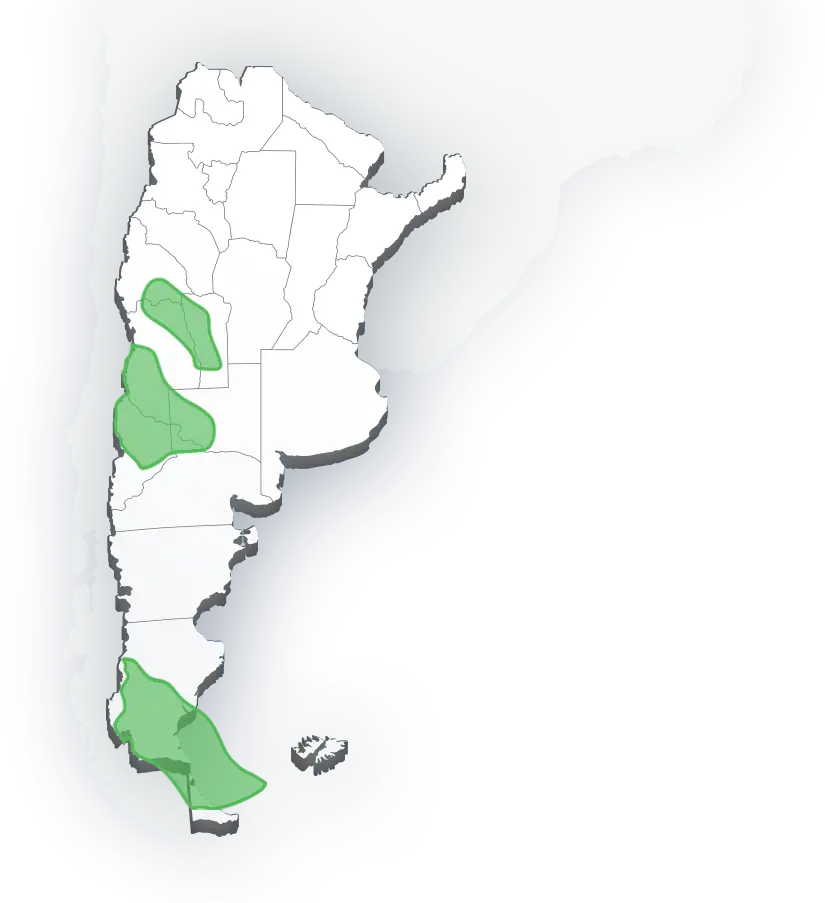 Argentina